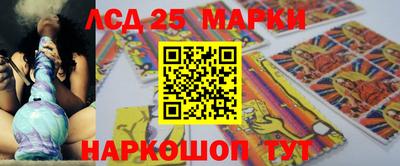трава Сланцы