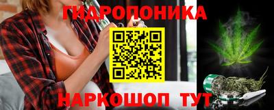 трава Сланцы