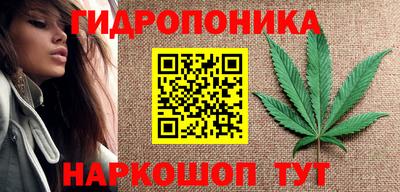 трава Сланцы