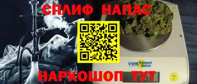 трава Сланцы