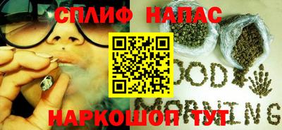 тгк Славянск-на-Кубани