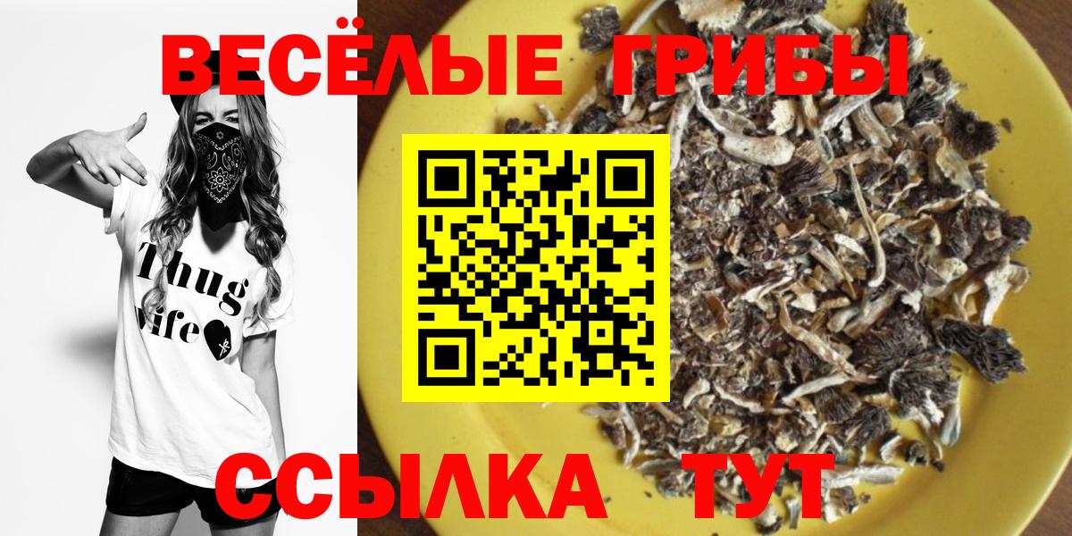Псилоцибиновые грибы Psilocybe  Вход с VPN  Советск  Псилоцибиновые грибы Magic Shrooms 