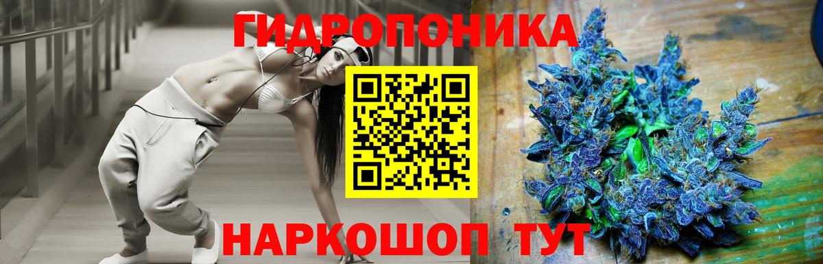 Советск  Конопля Ganja  Марихуана план  Конопля семена  Вход с VPN 